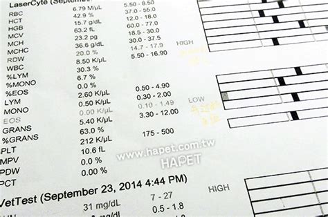狗驗血報告分析